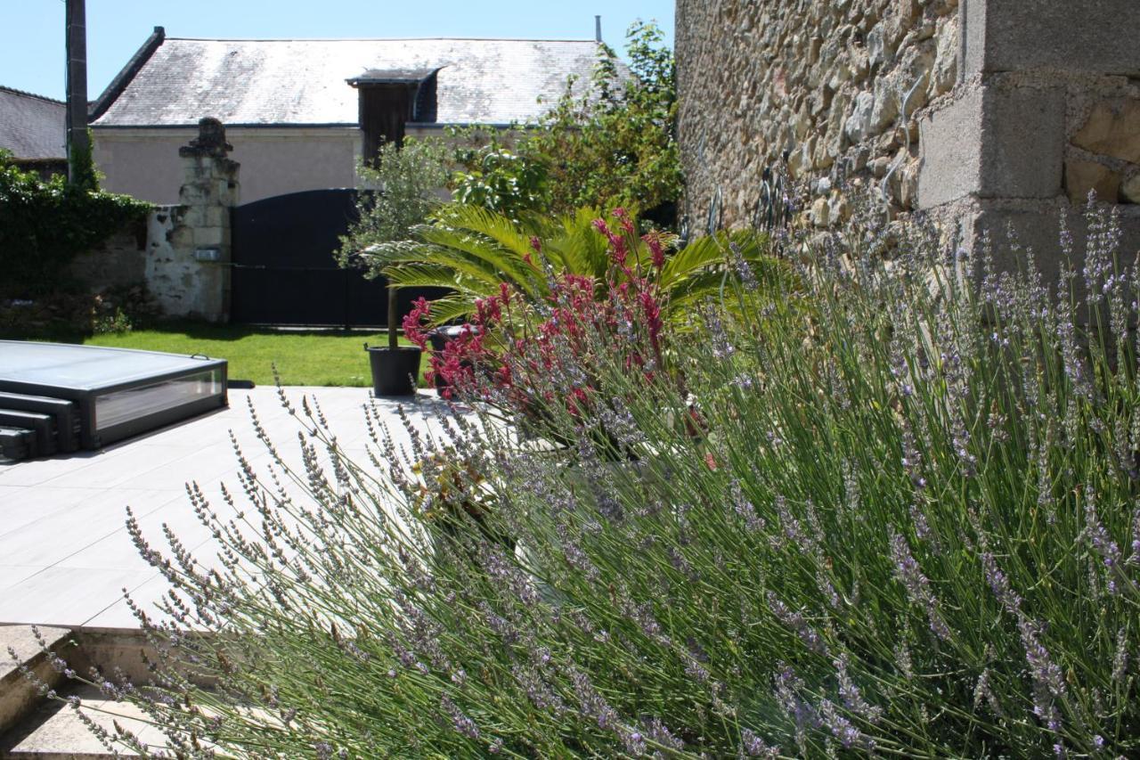 La Douce France Trianon * Chinon